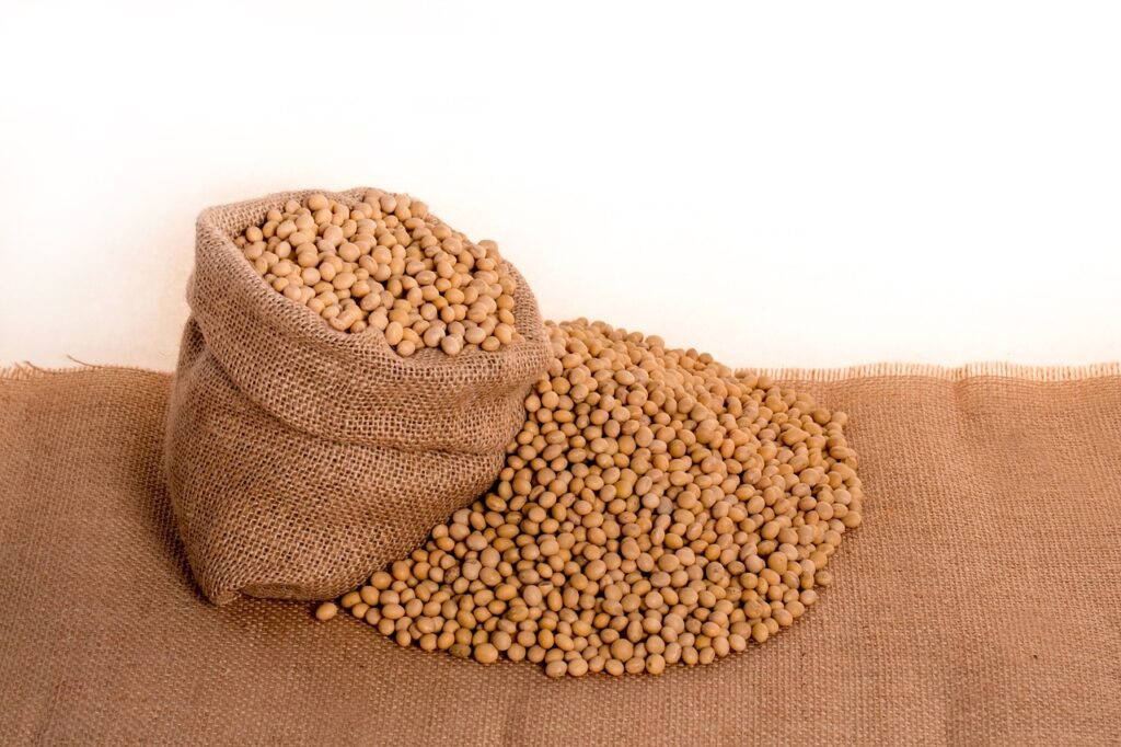 soybeans, nature, plants-2039637.jpg