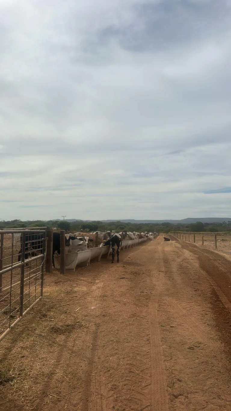 WhatsApp Image 2025-07-09 at 12.51.06