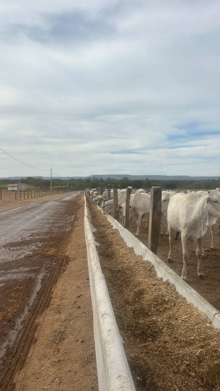 WhatsApp Image 2025-07-09 at 12.51.07 (2)