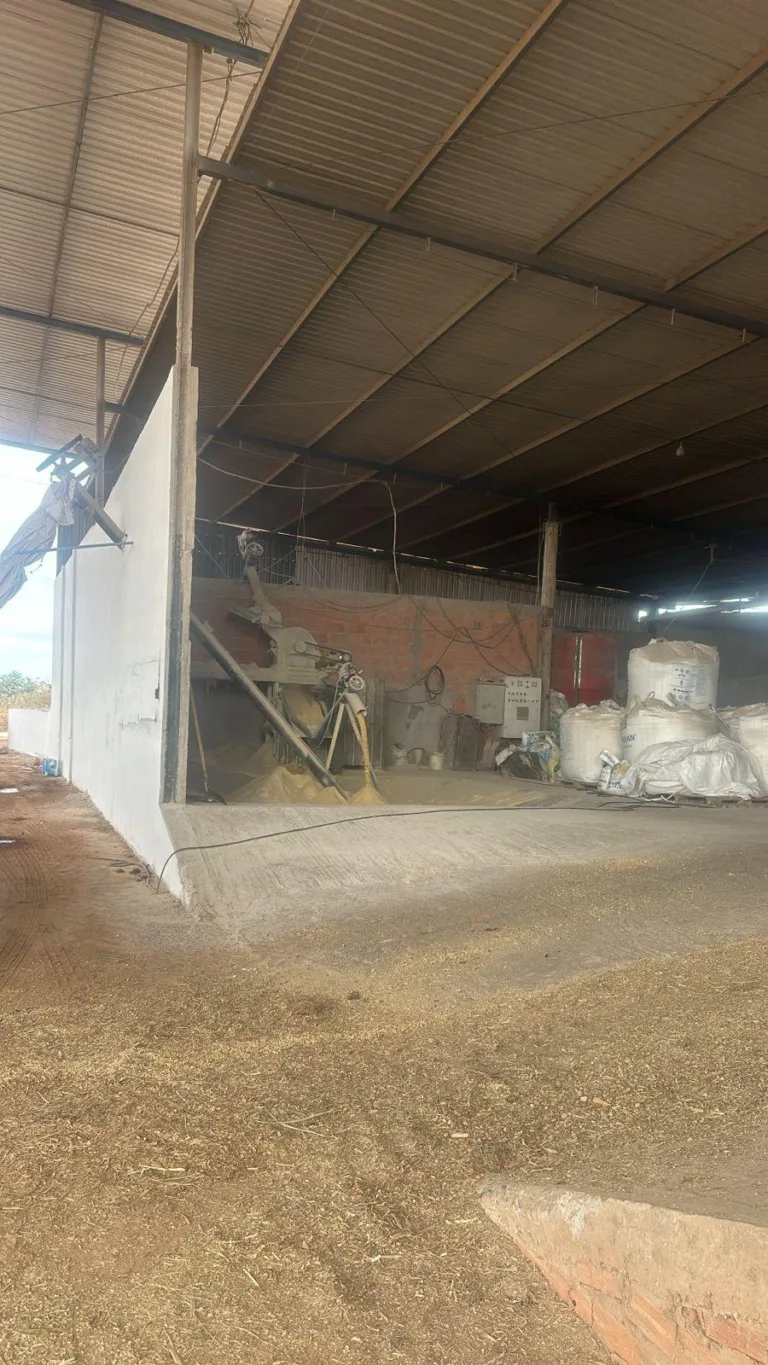 WhatsApp Image 2025-07-09 at 12.51.07