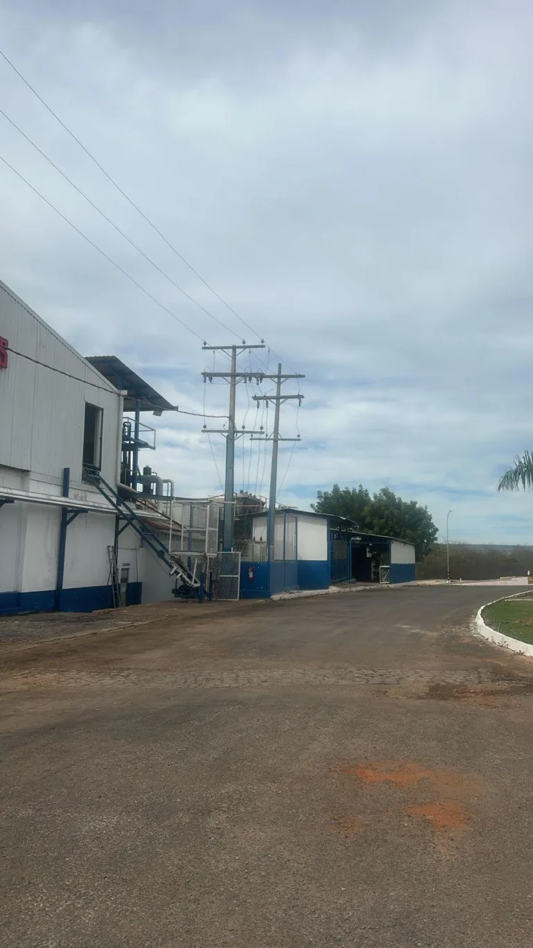 WhatsApp Image 2025-07-09 at 12.51.08 (1)